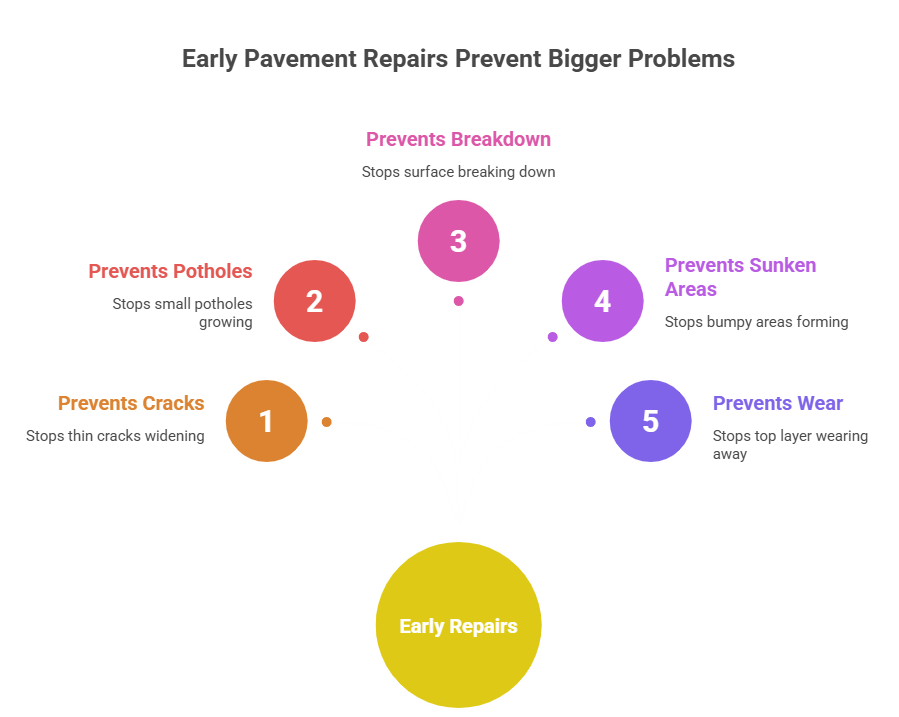 Common Driveway Problems We See in Tampa