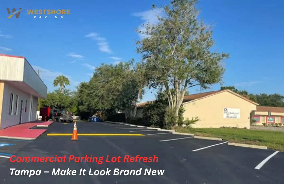 Commercial Parking Lot Refresh Tampa – Seal Coat & Striping