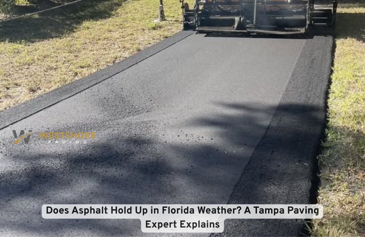 Does Asphalt Hold Up in Florida Weather A Tampa Paving Expert Explains