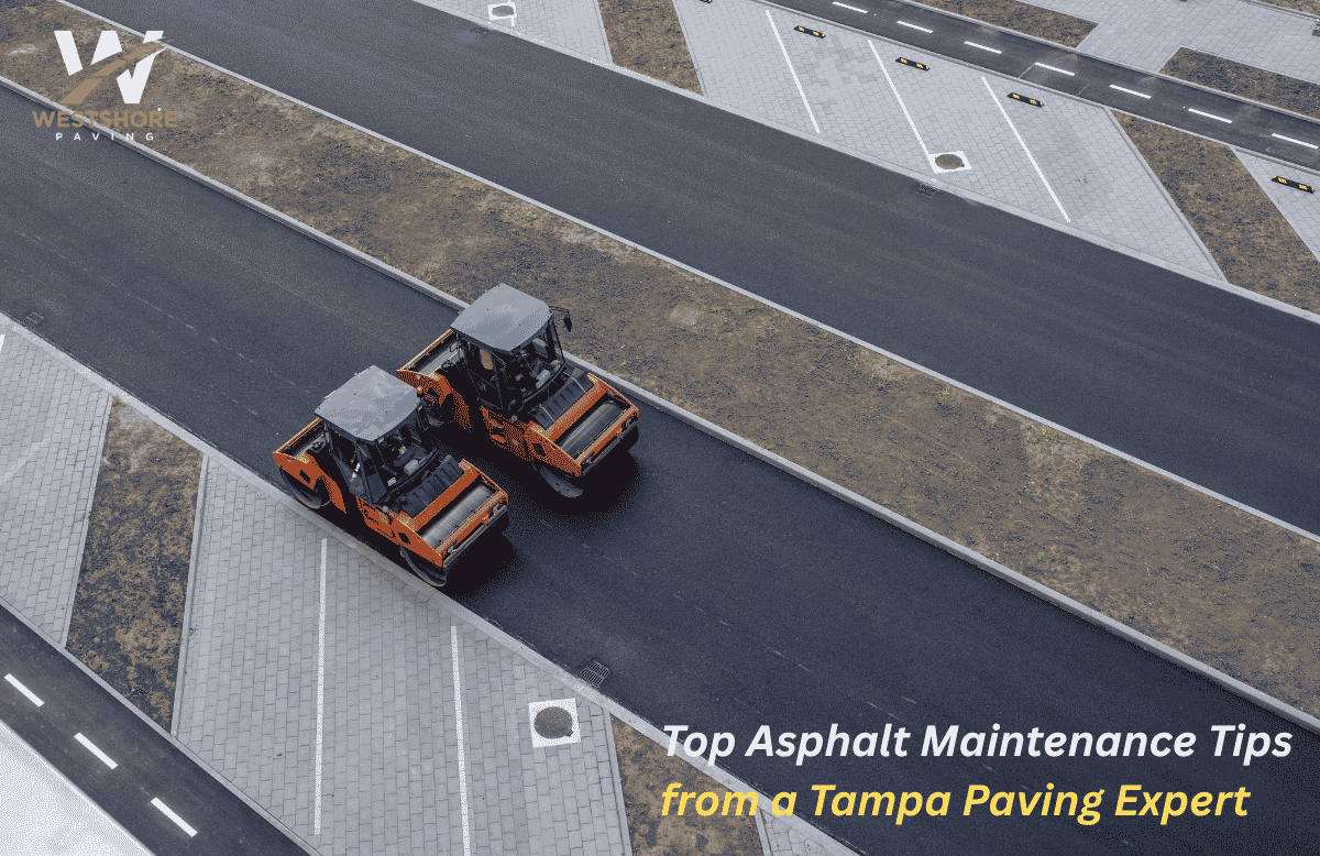 Top Asphalt Maintenance Tips from a Tampa Paving Expert
