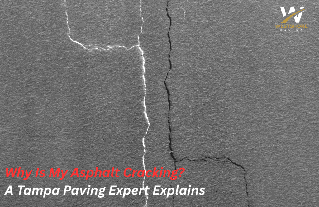 Why Is My Asphalt Cracking A Tampa Paving Expert Explains