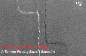 Why Is My Asphalt Cracking A Tampa Paving Expert Explains