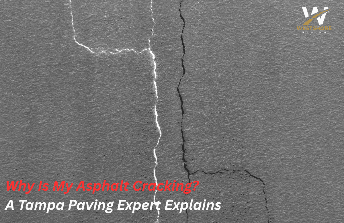 Why Is My Asphalt Cracking A Tampa Paving Expert Explains